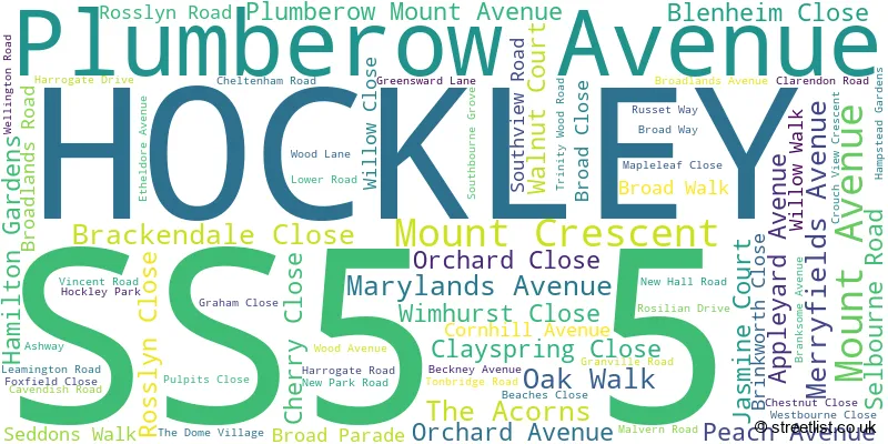 A word cloud for the SS5 5 postcode